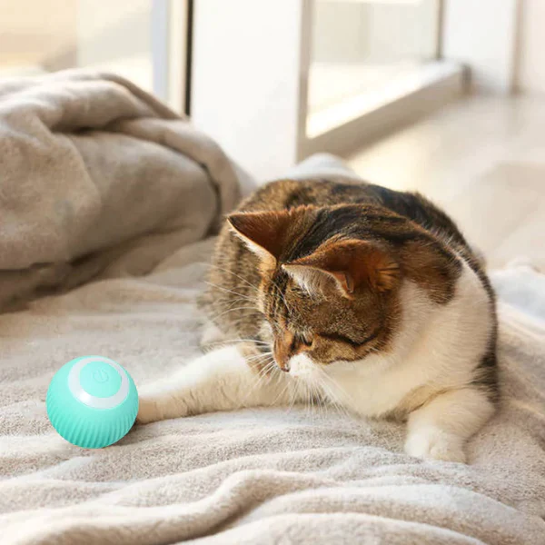 PurrPlaysphere - Smart Moving Cat Toy ---