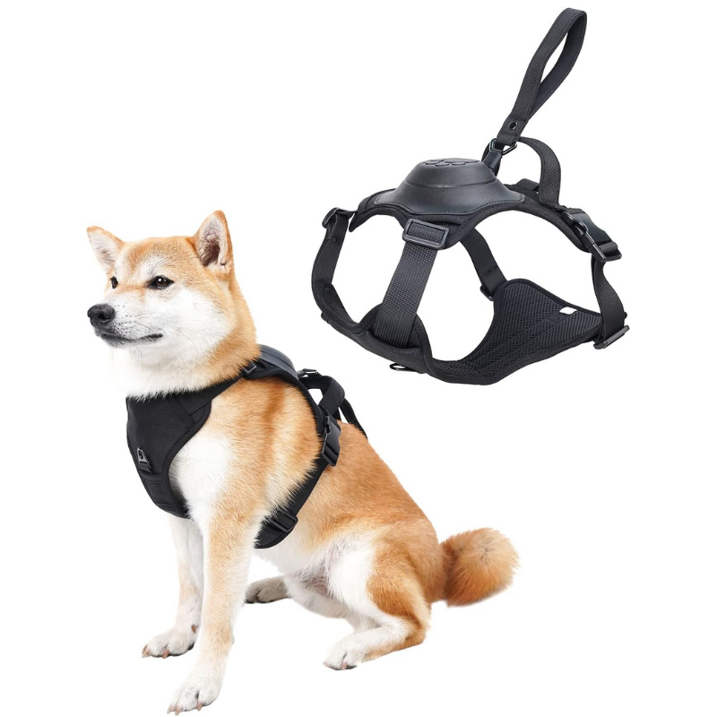 2-in-1 No Pull Dog Harness & Leash