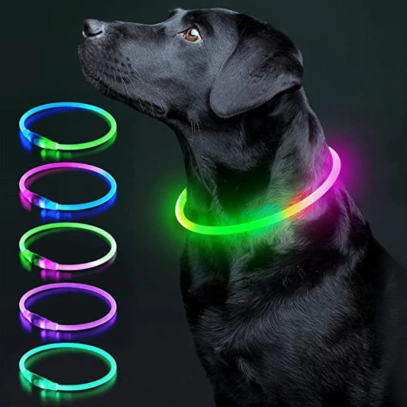 BrightBark™ - Rechargeable LED Dog Collar