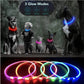 BrightBark™ - Rechargeable LED Dog Collar