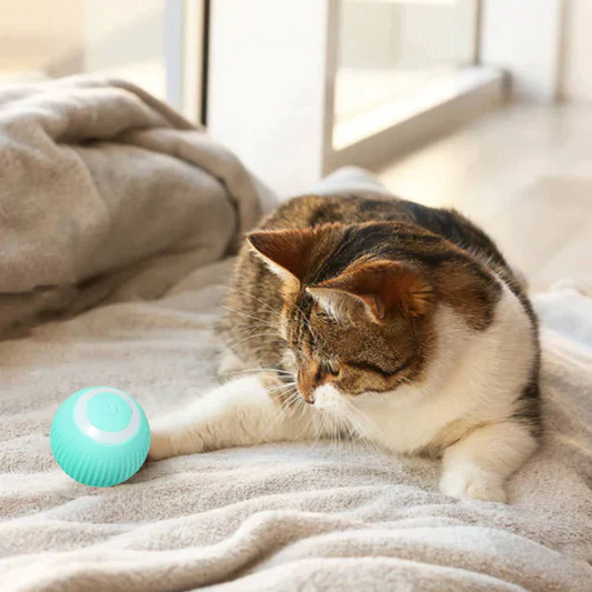 PurrPlaysphere - Smart Moving Cat Toy