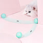 PurrPlaysphere - Smart Moving Cat Toy